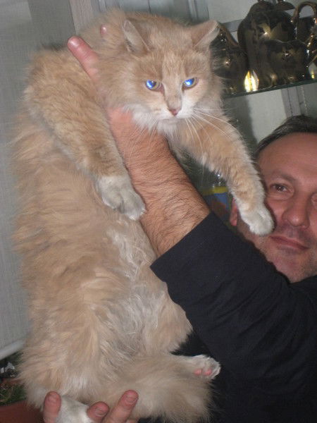 Олег Вотинцев