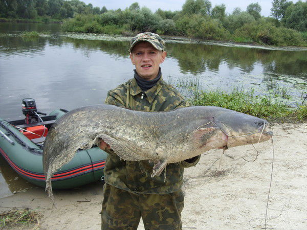Алексей Анишкевич