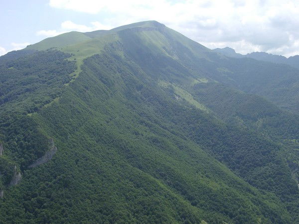 Геннадий Лыков