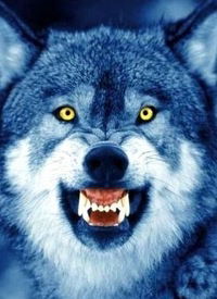 Артём Черезов