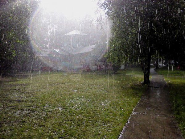 Александр Еремеев