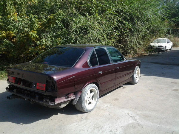 Александр Грефенштейн