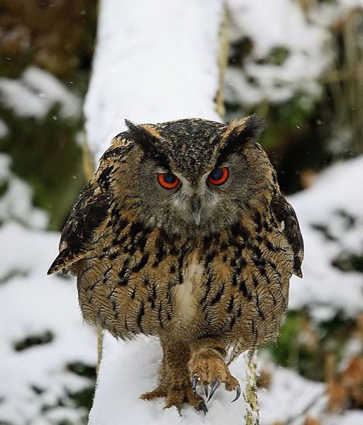 Мария Панферова