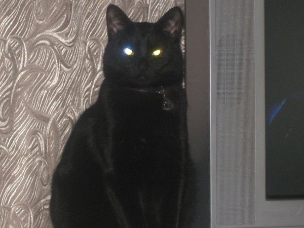 Александр Киселев