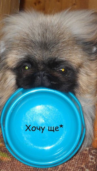 Втална Шишова