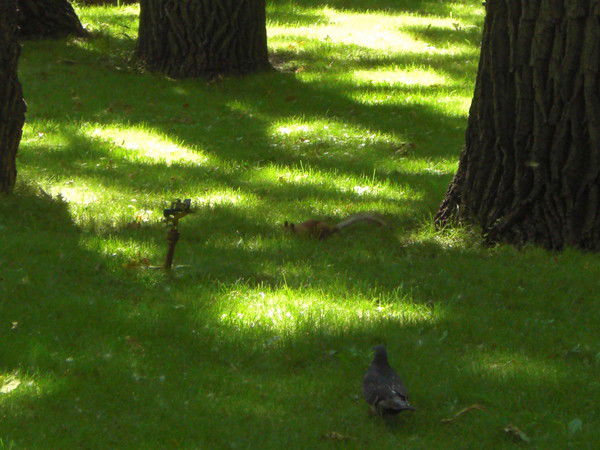 Павел Будаков