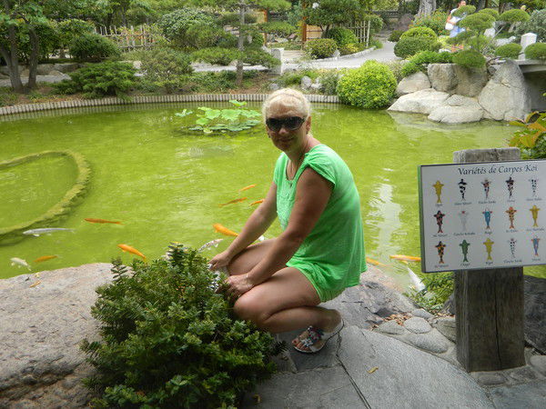 Света Середа