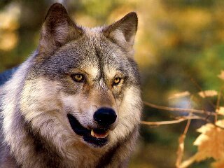 Душкин Сергей