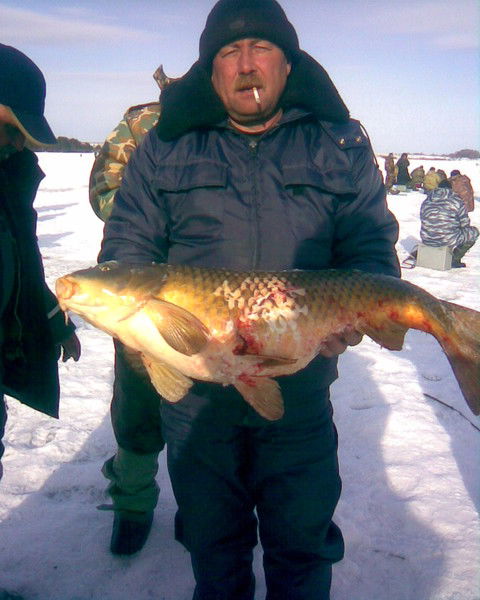 Вадим Касьянов