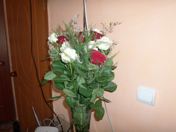 Алима Жадыкова