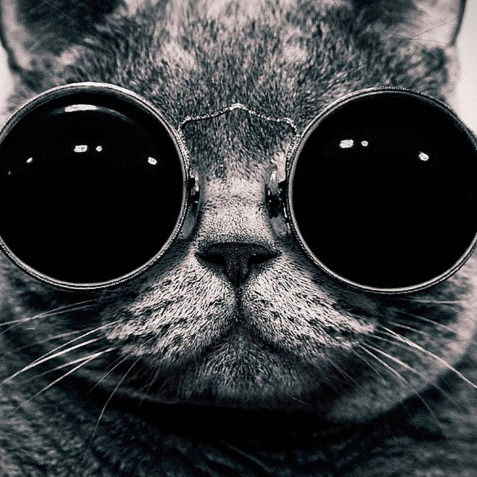 Андрей Сопин