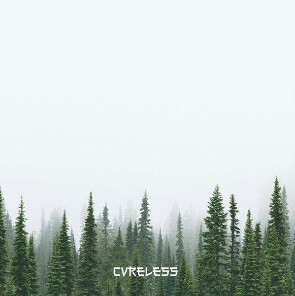 Максим Колесников