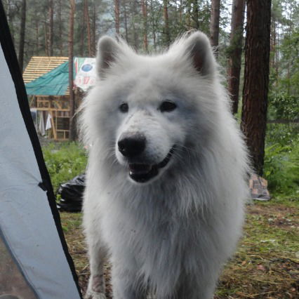 Виктория Сезонова