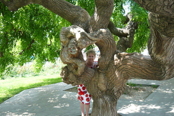 Елена Лабунец