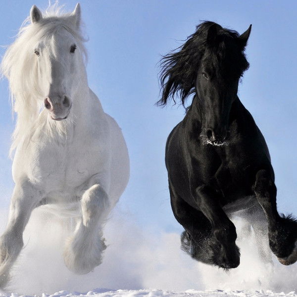 Марина Марина