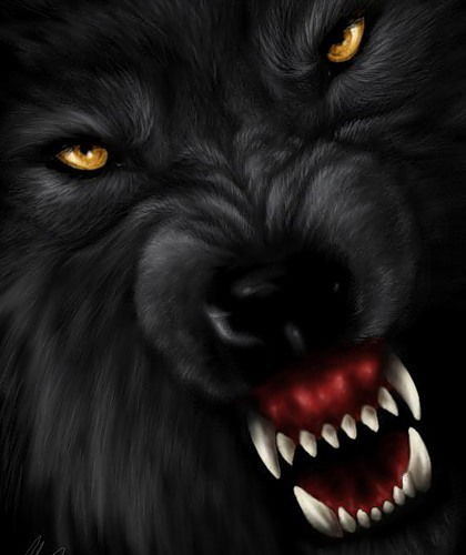 Неизвестно Неизвестно