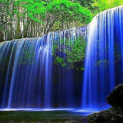 Оксана Шапошникова