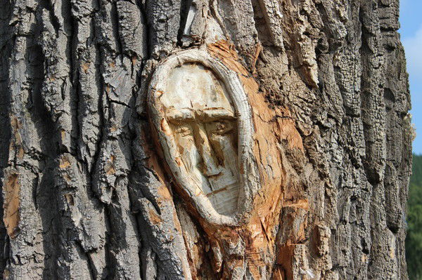 Алексей Дудин