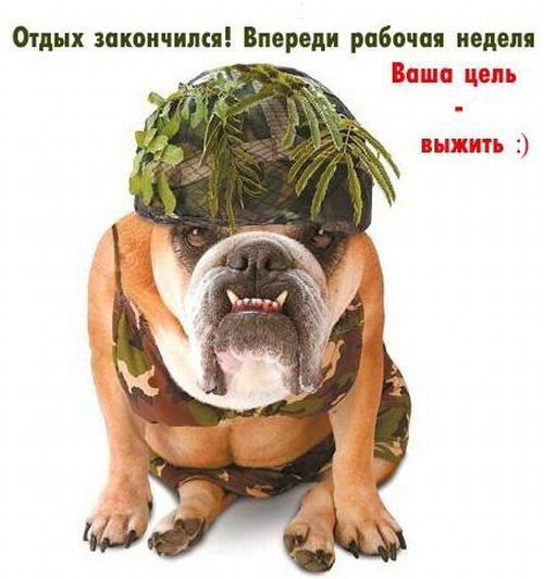 Владимир Писаренко