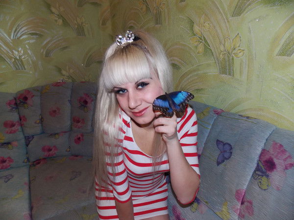 Живые Бабочки