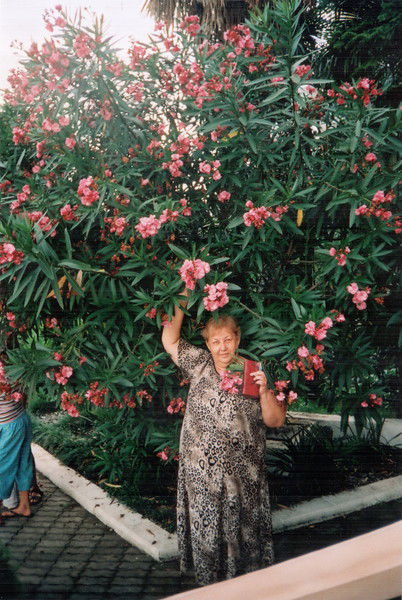 Наталья Пашкина