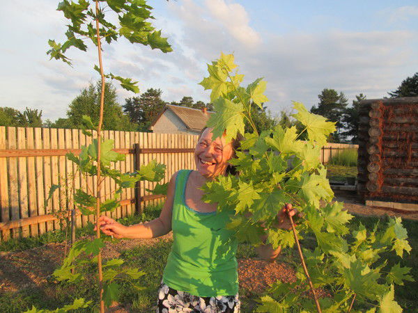 Светлана Гвоздецкая