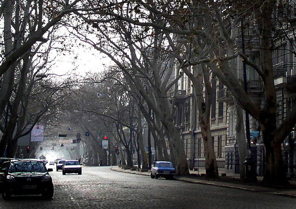 Владимир Фомин