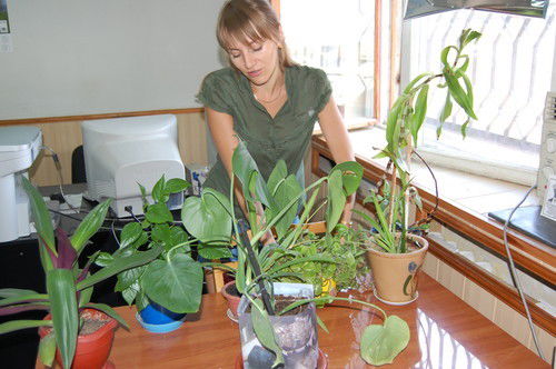 Анна Райлян