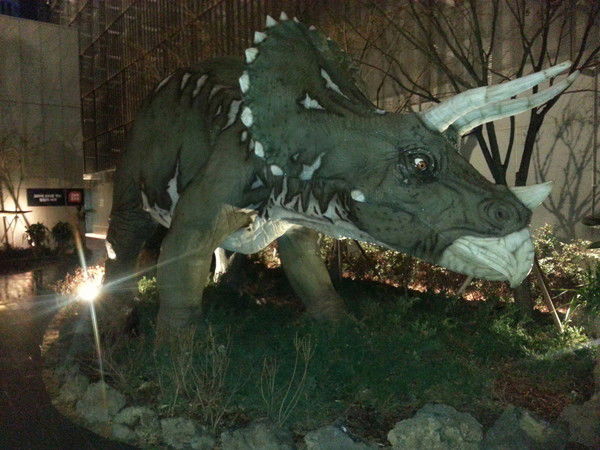 Евгения Син