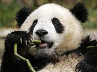 Татьяна Струнникова