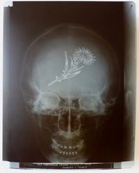 Валерия Буланова