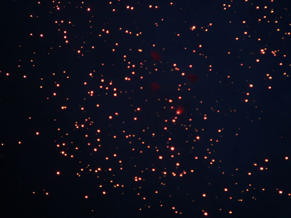 Дима Чутков