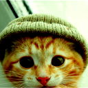 Котик @ Хочуууу