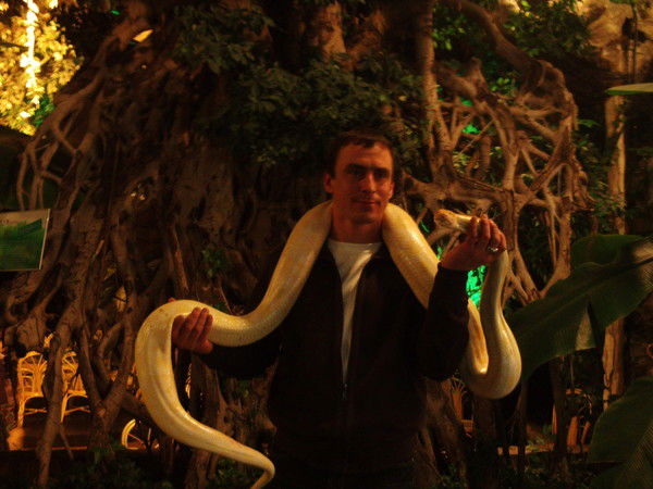 Михаил Лобанов