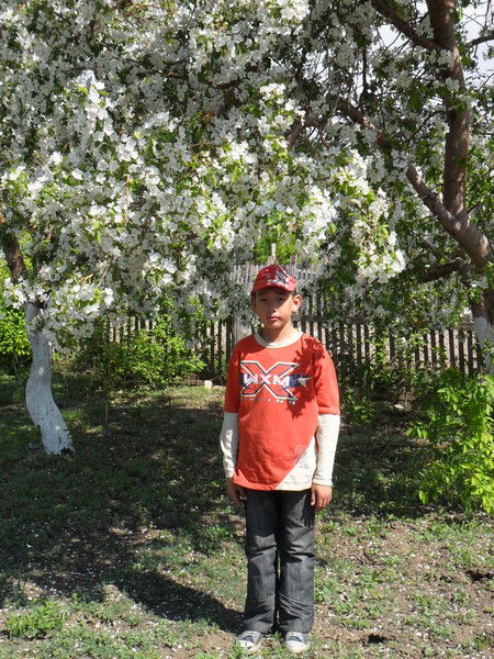 Арман Танат