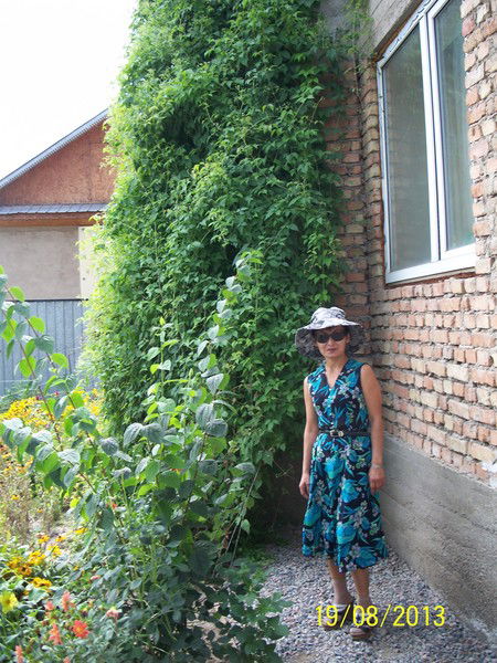 Инжу Садыкова