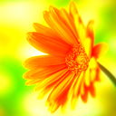 Наталья Дементьева