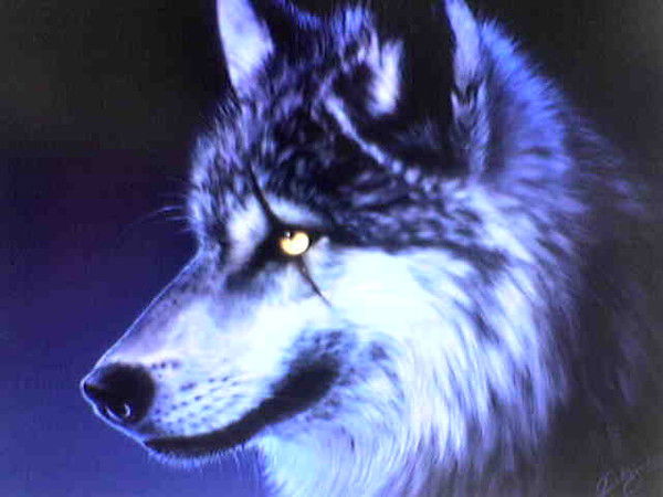 Андрей Яковенко