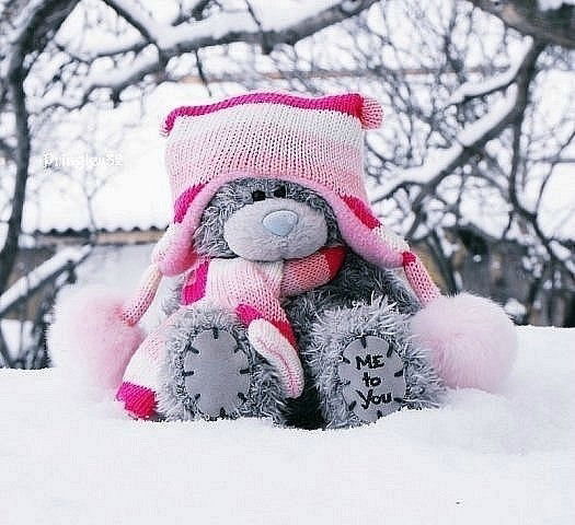 Алёна Алёна