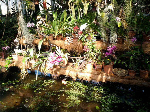 Оксана Русинова