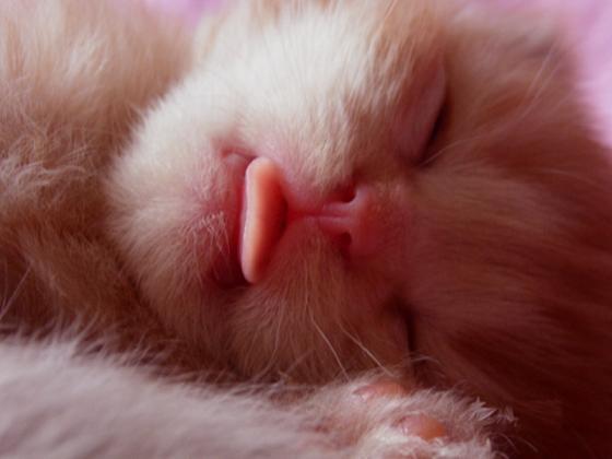 Ксения Васильева