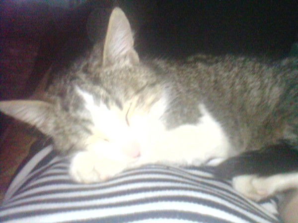 Екатерина Архипова