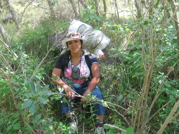 Мухаббат Алимханова