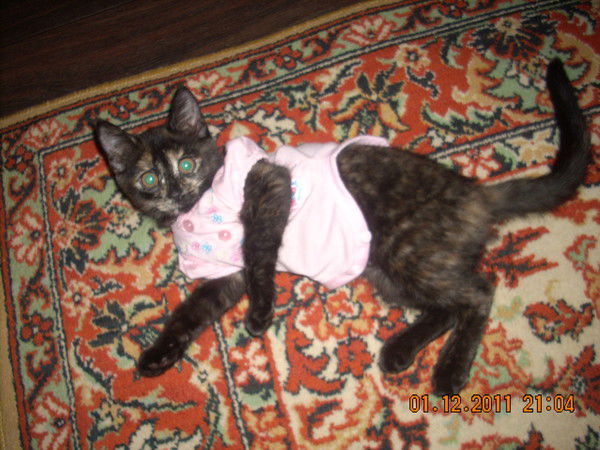 Елена Манылова