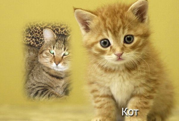 Александр Воробьев