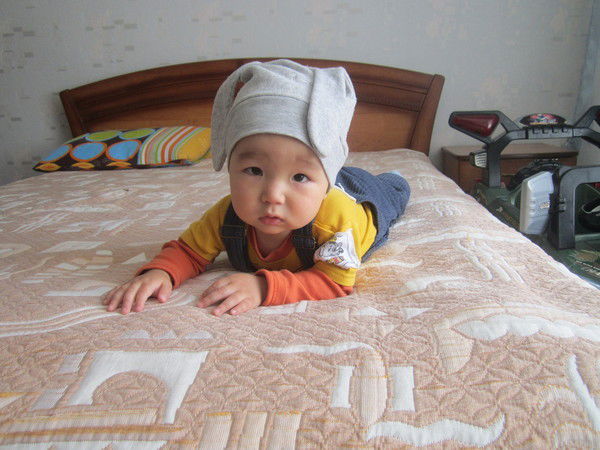 T[Ee]Ma -Id163564337