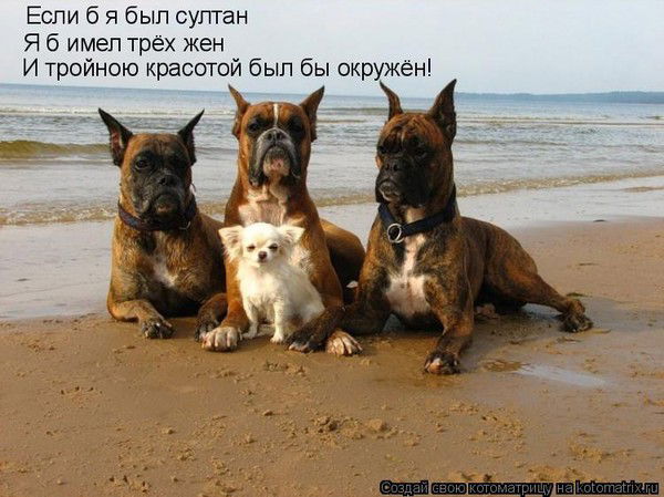 Евгения Сидорова