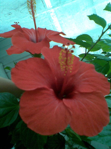 Лилия Галиуллина