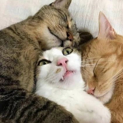 Наталья Моисеева