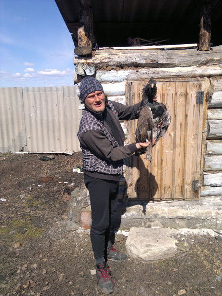 Евгений Бандер